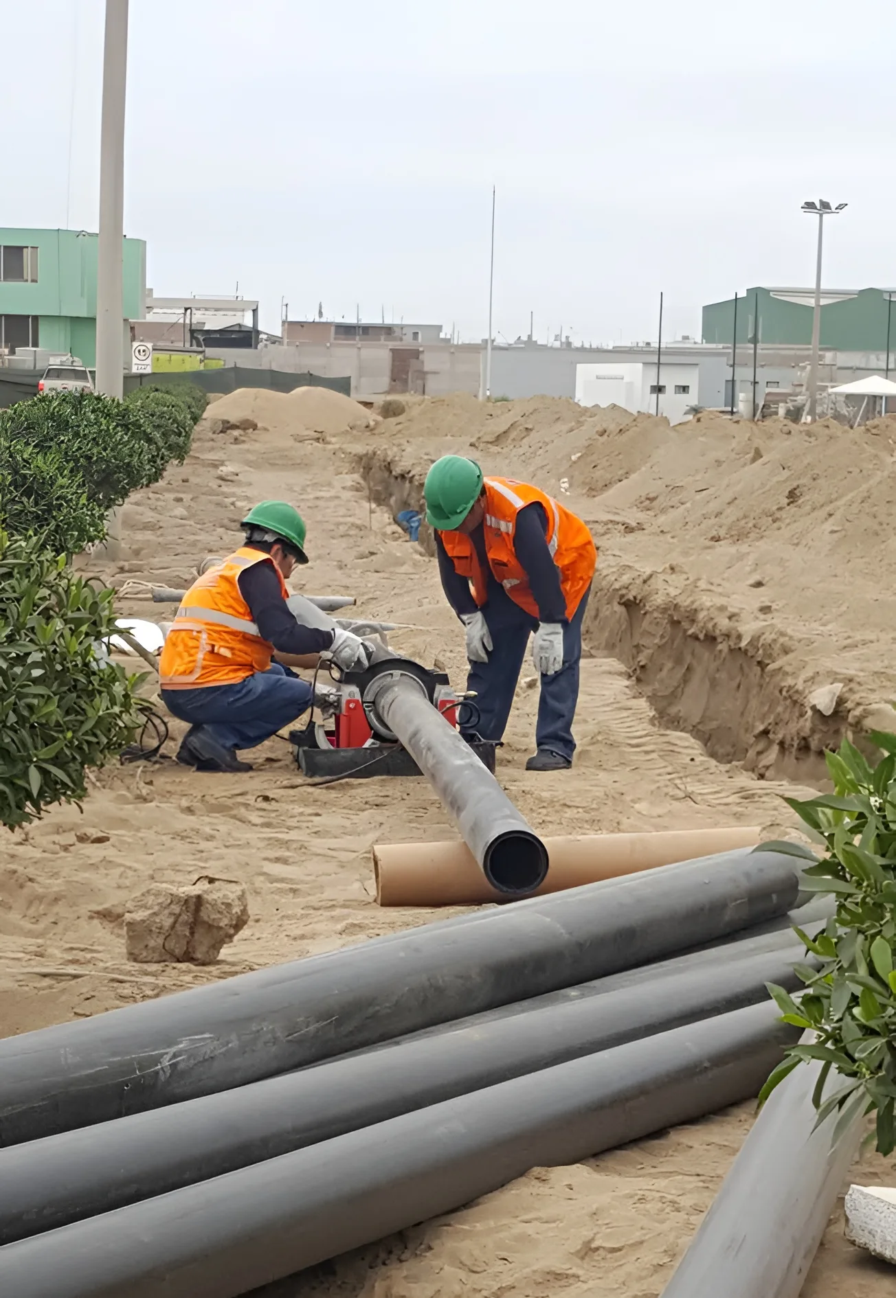 Imagen sección